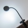 Настольная лампа офисная Citilux Ньютон CL803071N фото 4 — Магазин svetno.ru