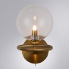 Бра Arte Lamp Albus A7780AP-1AB фото 2 — Магазин svetno.ru