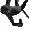 Подвесной светильник Seletti Monkey Lamp 14916 фото 3 — Магазин svetno.ru