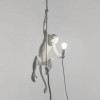 Подвесной светильник Seletti Monkey Lamp 14883 фото 2 — Магазин svetno.ru